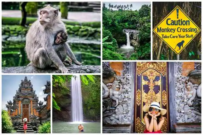 3-Day Ubud Itinerary – Touring Bali’s Cultural Center